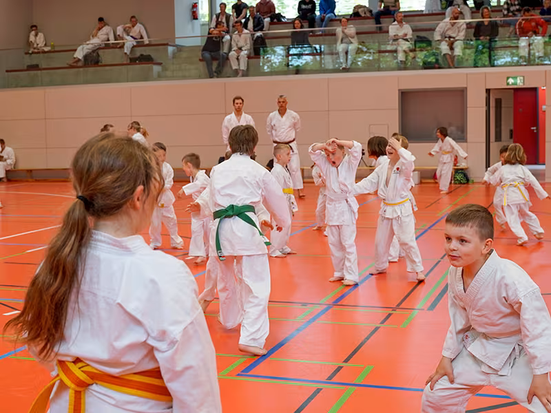 We are “Karate Nerd” approved.
