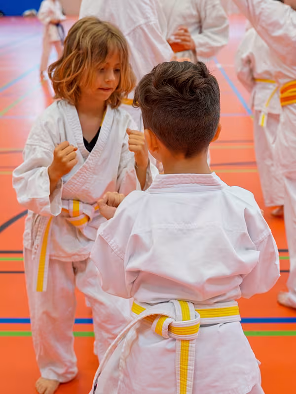 We are “Karate Nerd” approved.2