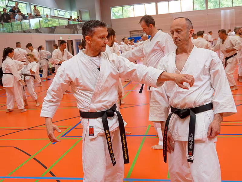 We are “Karate Nerd” approved.3
