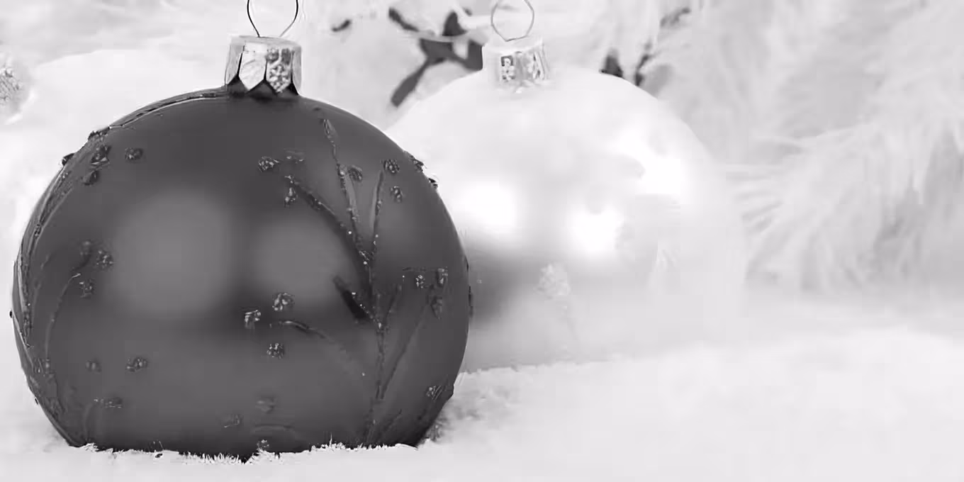 Es ist wieder soweit – unsere Weihnachtsfeier steht vor der Tür!