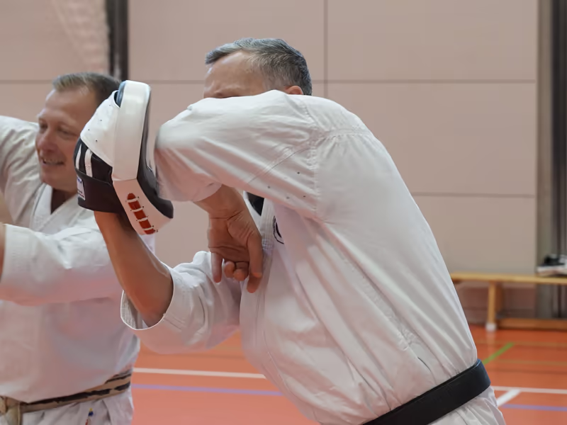 Zwei Erwachsene beim Pratzentraining