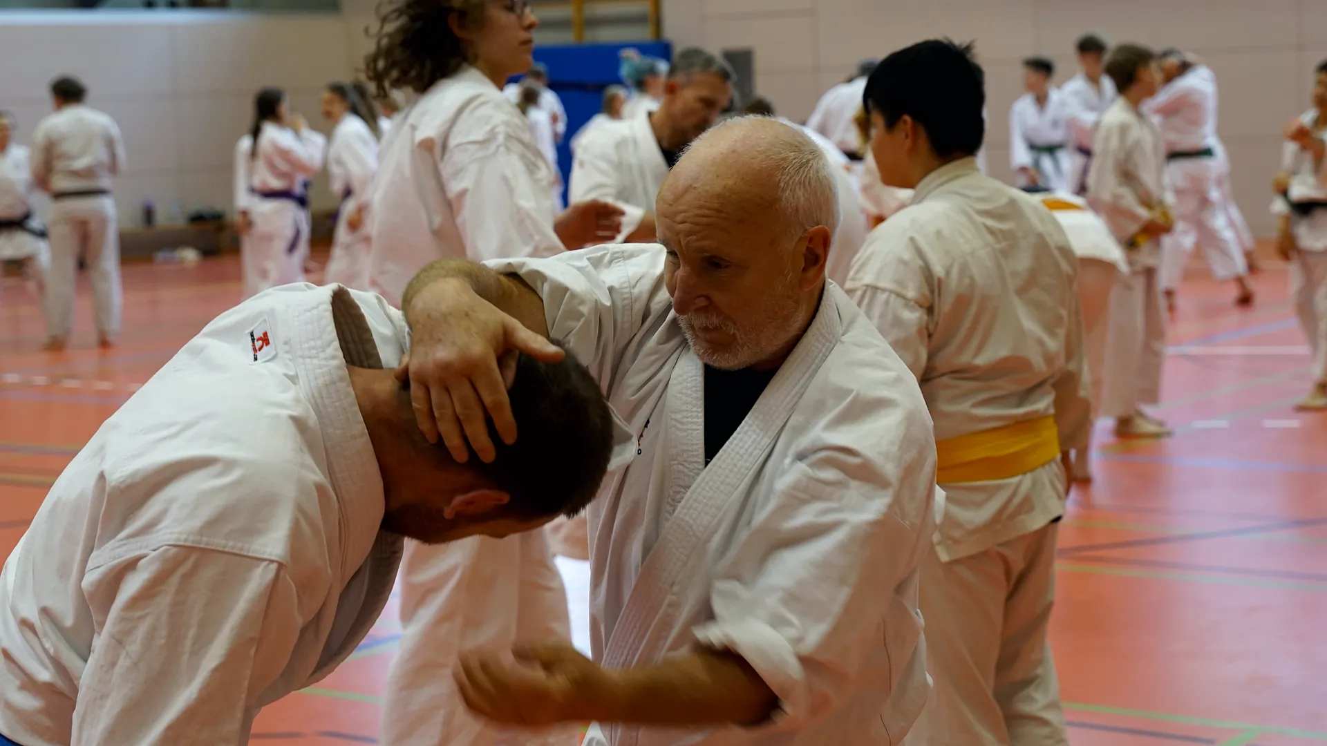 Ein erfahrener Karateka befreit sich beim Lehrgang aus einem Griff in den Nacken